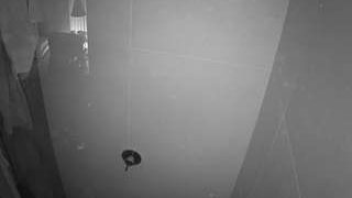 voyeurcam-casa-salsa-bathroom-11