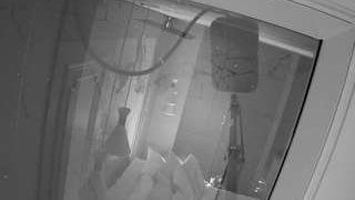 voyeurcam-casa-salsa-bathroom-12