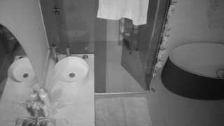 voyeurcam-casa-salsa-bathroom-6