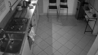 voyeurcam-julmodels-kitchen-2