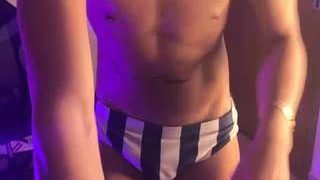 zamirpdll