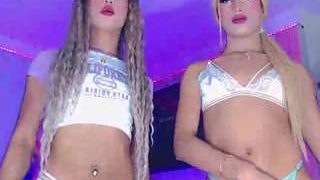 dalilbacil
