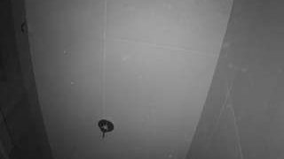 voyeurcam-casa-salsa-bathroom-11