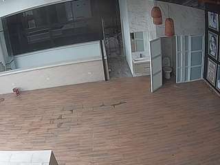 voyeurcam-casa-salsa-panoramic