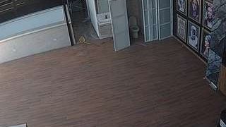 voyeurcam-casa-salsa-panoramic