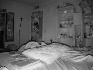voyeurcam-freakyfeline-01