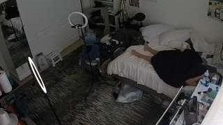 voyeurcam-hornyhostel-02