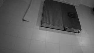voyeurcam-jb-room-8