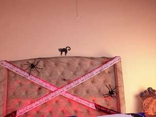 stefa-rosse